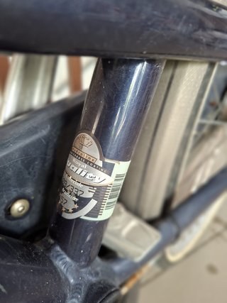 Bicicleta Holandesa Gazelle Talla 57