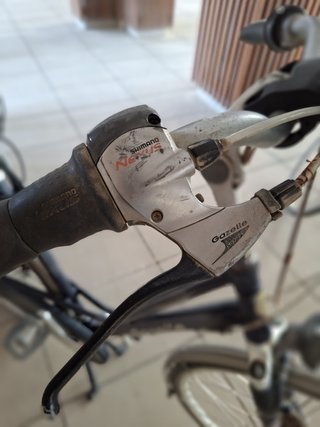 Bicicleta Holandesa Gazelle Talla 57