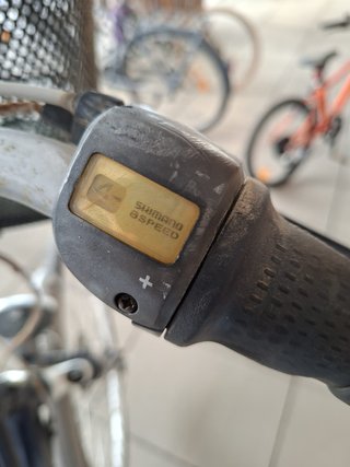 Bicicleta Holandesa Gazelle Talla 57