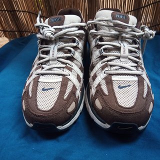 Zapatillas Nike P6000 Marrón Blanco
