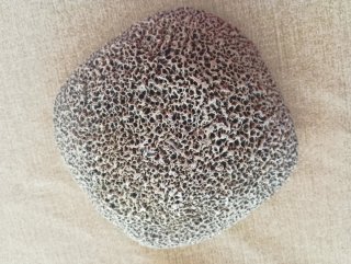 Cuenco Coral Marino Fosilizado