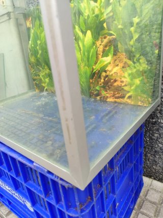 Acuario de cristal