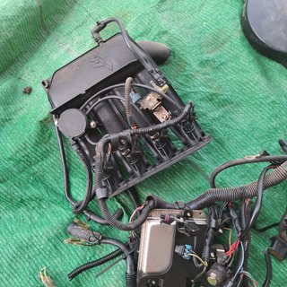 Despiece Mercury 50hp 2005