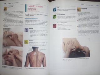"Fondamenti clinici della massoterapia" - PIccin