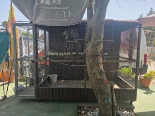 Jaula grande para pájaros
