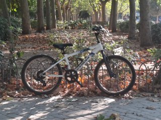Bicicleta De Niño 20 Pulgadas ROCKRIDER