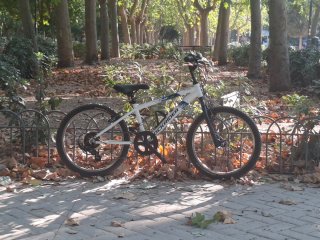 Bicicleta De Niño 20 Pulgadas ROCKRIDER