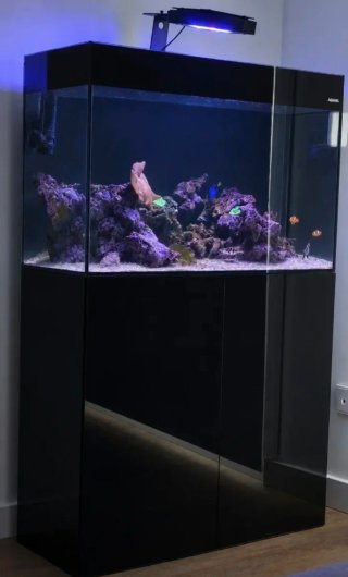 Acuario Marino 125L