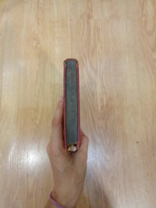 Libro Quevedo Marco Bruto, La Cuna, Rómulo 1885