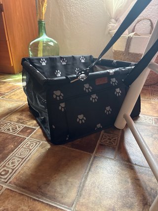 Silla para mascota para coche