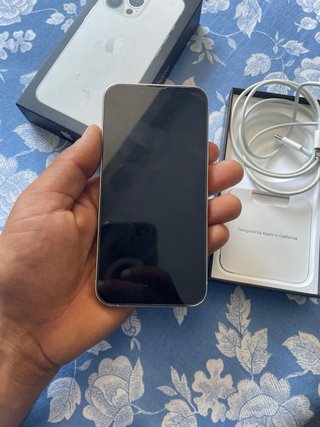 iPhone 13 Pro Plata Batería 81%