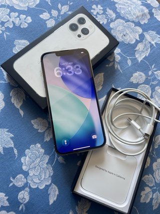 iPhone 13 Pro Plata Batería 81%