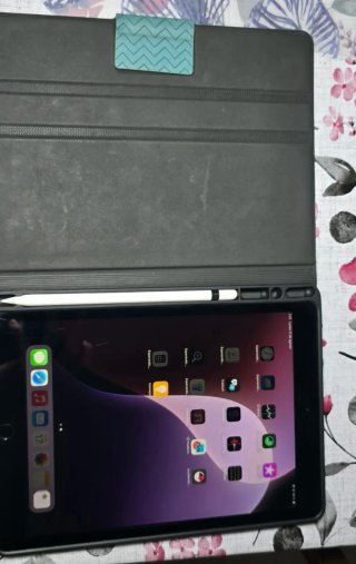Funda iPad Apple gris + Cargador