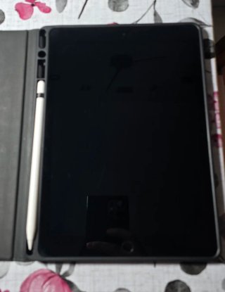 Funda iPad Apple gris + Cargador