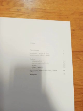 Libro de Menchu Gal, La alegría del color