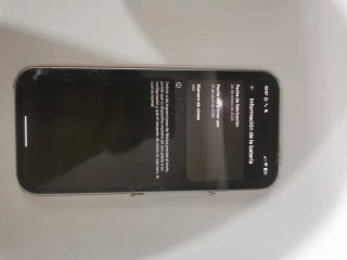 Google Pixel 9a - Pantalla agrietada pero funciona