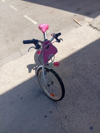 Bicicleta Niña 20 Rosa