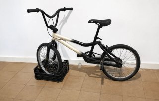 Bicicleta BMX Freestyle