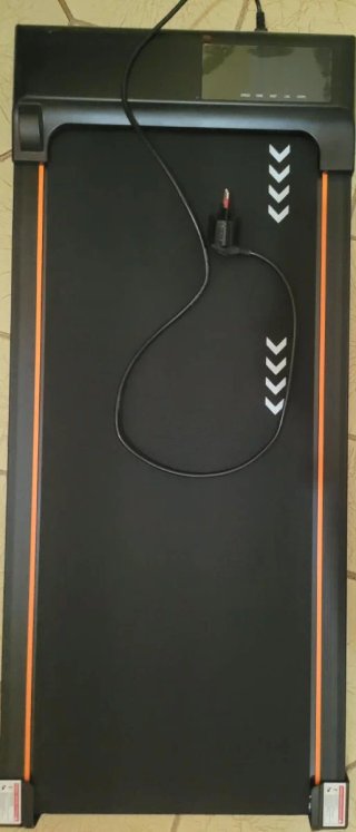 TAPIRULAN