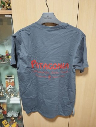 Camiseta Patagonia Gris Talla M