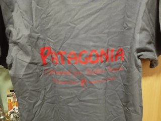 Camiseta Patagonia Gris Talla M