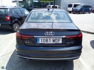 Audi A4 2023 30 tdi advanced S tronic 136 cv