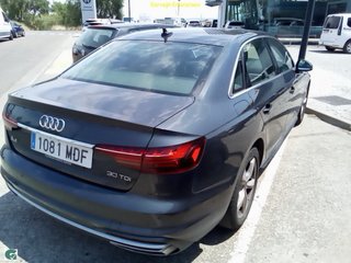Audi A4 2023 30 tdi advanced S tronic 136 cv