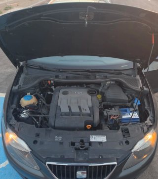 SEAT Ibiza 2011
