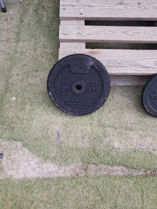 Disco Domyos 10kg - 22 Lbs