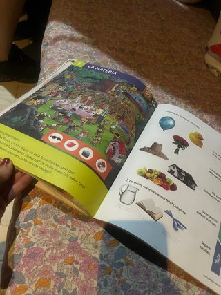 Coneixement del Medi 1r primària