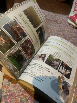Coneixement del Medi 1r primària