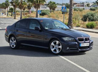 BMW Serie 3 2010