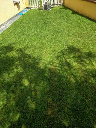 Mantenimiento de jardines