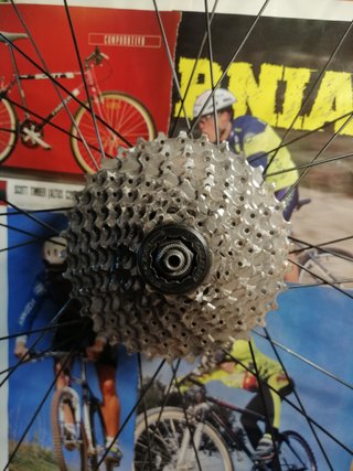 Rueda completa Shimano Deore LLanta WTB Disco Avid