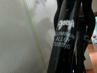 Bicicleta Electra Sparker Spl