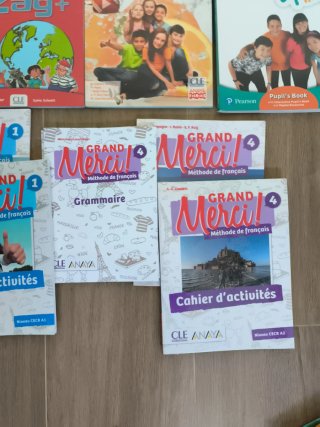 Libros escolares, usados