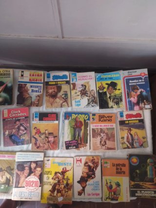 Lote 25 Novelas del Oeste