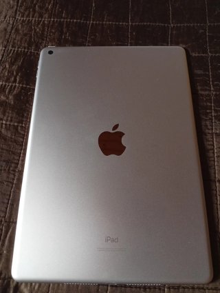 iPad 10.2 7ª Gen Plata