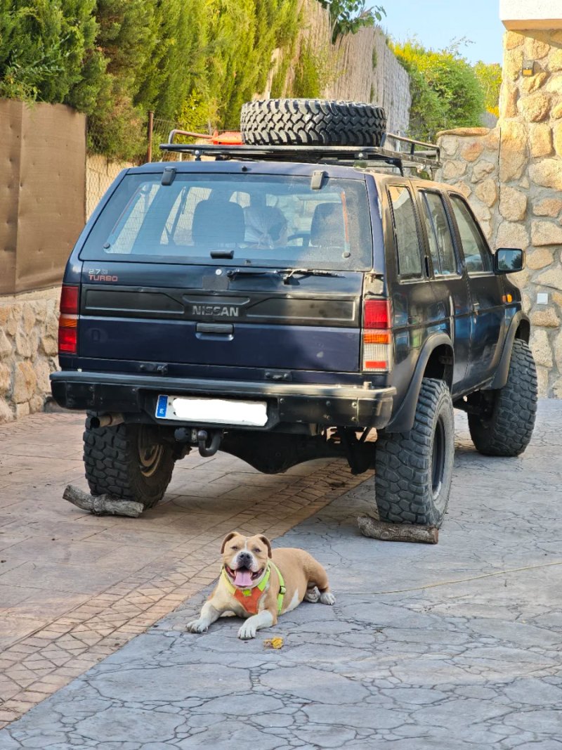 Nissan Terrano 1992 - foto 1