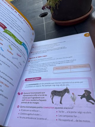 LLENGUA CATALANA 3 PRIMARIA CONSTRUINT MONS