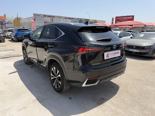 Lexus NX 2021