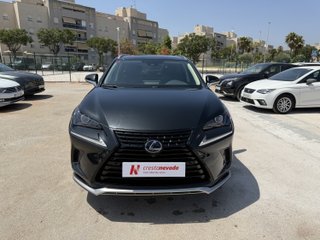 Lexus NX 2021