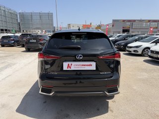 Lexus NX 2021