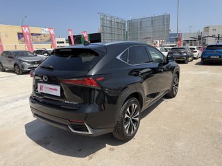 Lexus NX 2021