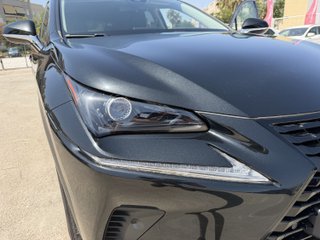 Lexus NX 2021