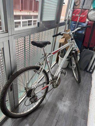 Bicicleta de montaña plateada
