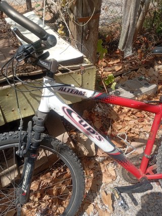 Bicicleta de montaña roja y blanca