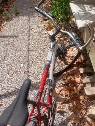 Bicicleta de montaña roja y blanca