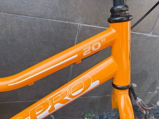 Bicicleta Infantil Naranja 20