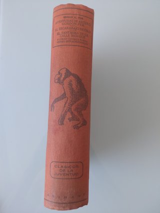 Narraciones Edgar Allan Poe